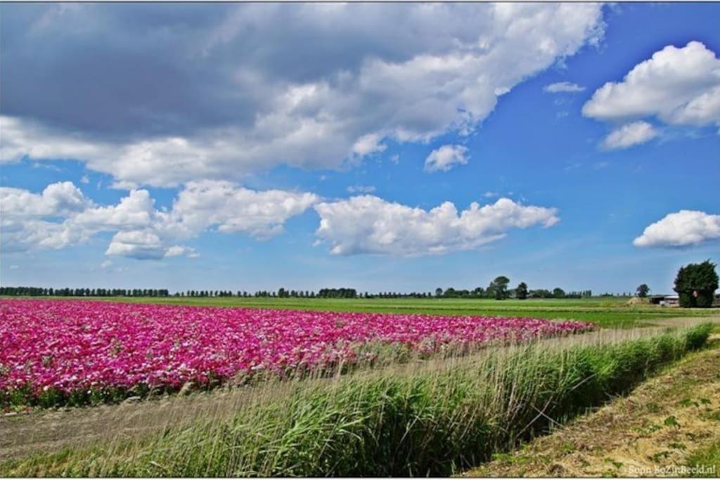 -Nieuw- Luxe & Sfeervol Vakantiehuis トーレン エクステリア 写真